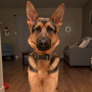 Meet your Posher, Shauna